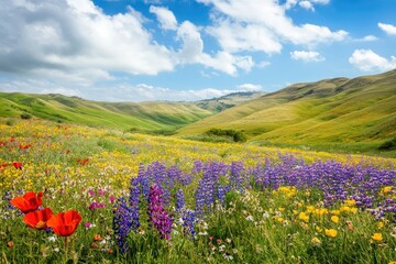 Fototapeta premium Rolling hills and a colorful meadow, filled with vibrant flowers under a sunny sky