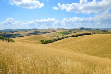 Rolling hills in summer, golden fields of grass stretching across the landscape