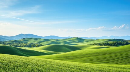 Fototapeta premium Rolling hills landscape with lush green fields under a clear blue sky, peaceful scenery