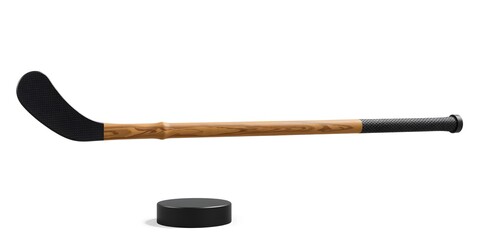 Hockey Stick and Puck