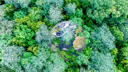 Aerial view of nature green forest and tree. Forest ecosystem and health concept and background, texture of green forest from above.Nature conservation concept. Global warming save earth. 