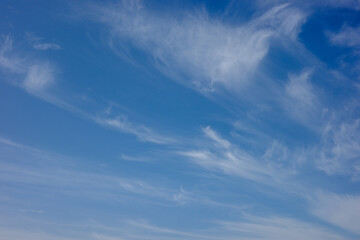 青空に秋の雲すじ雲（巻雲）