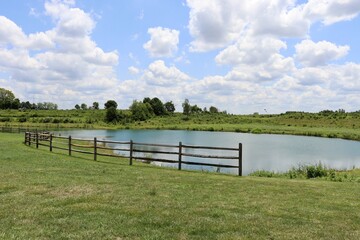 Fototapeta premium The pond in the country on a sunny day.