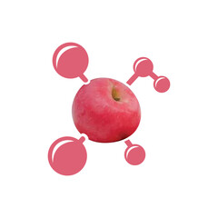 Modern logo design for the chemical Fuji apple which is included in the body organs.