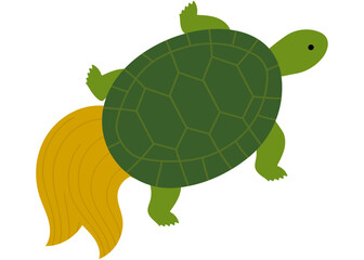 亀は万年　イラスト