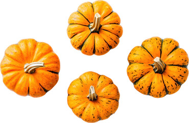 Three small orange pumpkins isolated on white background
