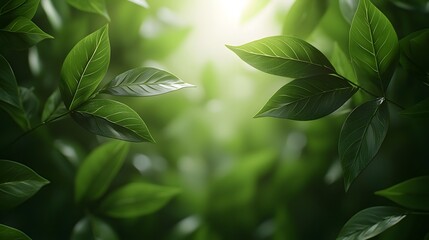 Ultra Detailed Macro Shot of Green Grass Blades