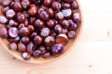 Horse Chestnuts (Aesculus hippocastanum) with chestnut leaves, seeds and capsules