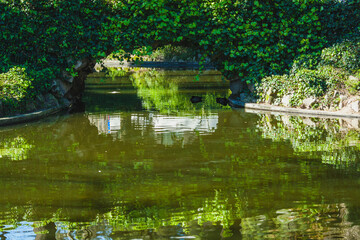 pool in the garden