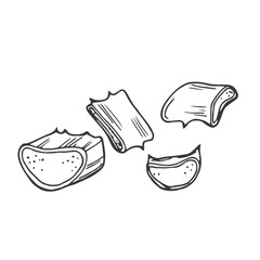 Aloe vera leaves and slice vector illustration. Hand drawn outline black and white succulent medicinal herb. Aloe cross section, botanical drawing for cosmetics, package, decoration, banner