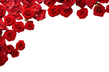 PNG Roses red border backgrounds flower petal.