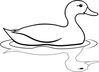 Peaceful Duck in Shallow Waters Reflections Vector Art for Coloring
