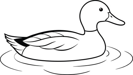Calm Pond with Detailed Mallard Duck Vector Drawing for Kids Coloring Activity
