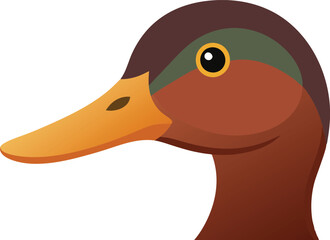 Charming Duck Beak and Eyes 