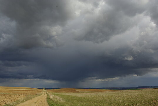 Paisaje de campos de sembrado, agricultura y cielo de tormenta