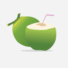 illustration of a coconut