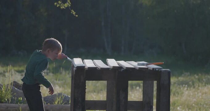 Young boy helping by painting wooden boards outdoors in summer, medium wide shot, involving kids in everyday chores