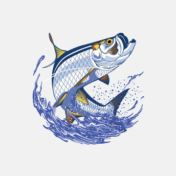 vector logo tarpon