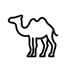 Camel: The Ship of the Desert