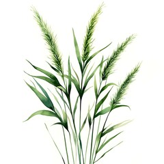 Obraz premium Watercolor green grass on a white background, fresh and vibrant, perfect for nature-themed designs and illustrations.