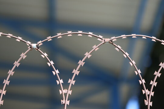 close up barbed wire fence. Razor wire. 	