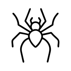 Spider: Fascinating Arachnids