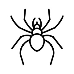 Spider: Fascinating Arachnids