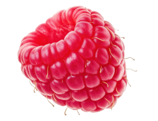 Closeup view of single ripe raspberry image isolated transparent. Vibrant red color and delicate juicy texture cut out photo png. Superfood nutrition cutout element object photography