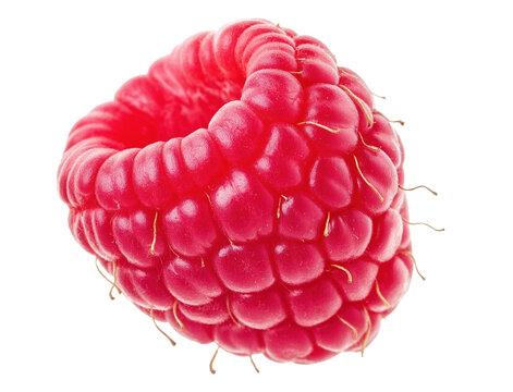 Closeup view of single ripe raspberry image isolated transparent. Vibrant red color and delicate juicy texture cut out photo png. Superfood nutrition cutout element object photography