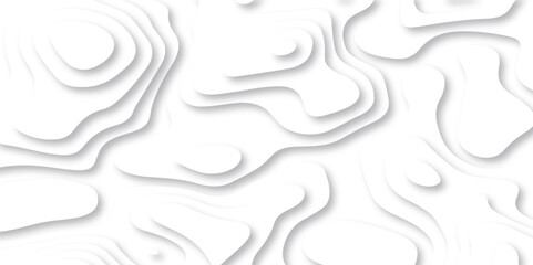  Abstract papercut stylized height of the topographic map contour in lines and contours isolated. Black and white topography contour lines map isolated on white background.