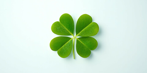 A green leaf with four leaves on it