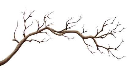 PNG Vector drawing sketch plant.