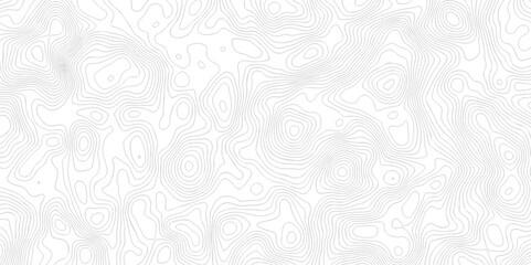 Seamless Lines map seamless topographic contour lines vector pattern. Geographic map and topographic contours map background. Vector illustration. White wave paper reliefs texture background.	
