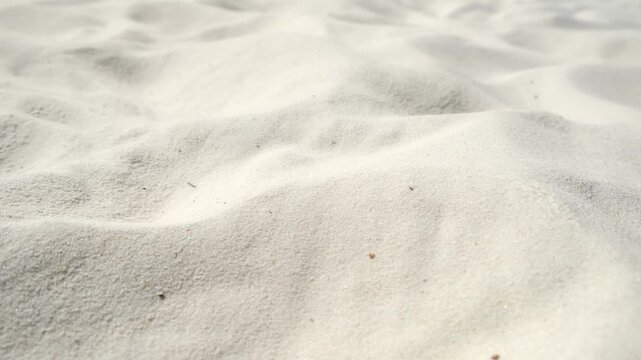 White clear sand dunes, fine sand fraction close-up on sea ocean river beach. Nature park outdoors for rest, relax, travelling.