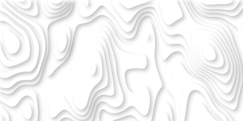  Abstract papercut stylized height of the topographic map contour in lines and contours isolated. Black and white topography contour lines map isolated on white background.