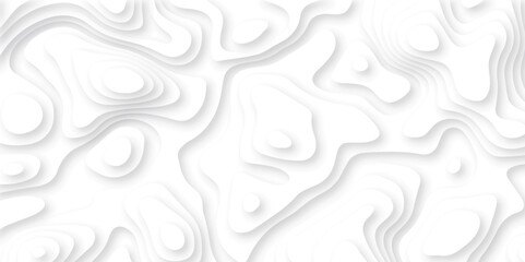  Abstract papercut stylized height of the topographic map contour in lines and contours isolated. Black and white topography contour lines map isolated on white background.