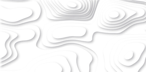 Abstract papercut stylized height of the topographic map contour in lines and contours isolated. Black and white topography contour lines map isolated on white background.