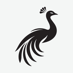 Peacock icon silhouette vector art illustration 