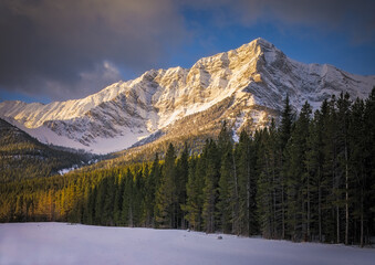 Golden hour sun illuminating snow covered mountain peaks over forest
