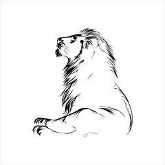 lion head isolated on white,head, lion, animal, vector, cartoon, wild, illustration, tattoo, cat, wolf, dog, mammal, mascot, face, isolated, black, silhouette, symbol, art, white, nature, animals, wil