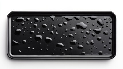 There is a clipping path included for the image of the rectangular black ceramic plate viewed from above.