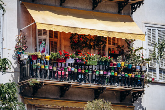 Balcony with lots of flower pots in the center of Nice