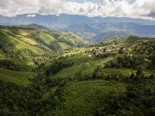 Fototapeta premium A rural road winds through a serene mountain vista, bordered by lush green forest under a blue sky at dawn in Doi Phuka National Park, Nan Province, Thailand