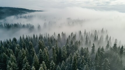 Obraz premium panoramic photograph of steep deep valley canyon rainforest mountains