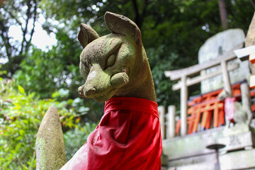Mossy stone fox statue guarding Fushimi Inari Shrine in Kyoto Japan