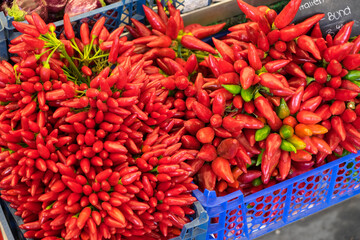 Cajas con pimientos picantes rojos en un mercado de Munich, Alemania