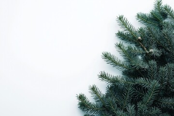 Obraz premium Pine Branches Border on White Background for Christmas