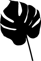 leaf silhouettes on a transparent background