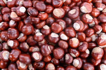 background of chestnuts