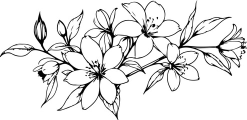 Flowers Line Art Vector Drawing. Linear Drawing of Floral Contour Ornament. Flowers with Leaves Branch Black Sketch Illustration on White Background © Наталья Дьячкова